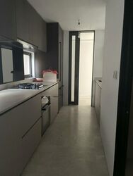 Amber Park (D15), Condominium #537124381